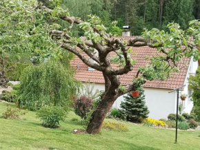 Ubytování Iris, Tovéř